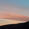 DSC_8457.jpg
